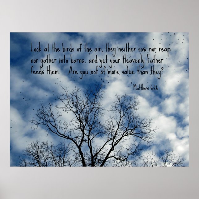 Matthew 6:26 Titta på luft... Poster (Framsidan)