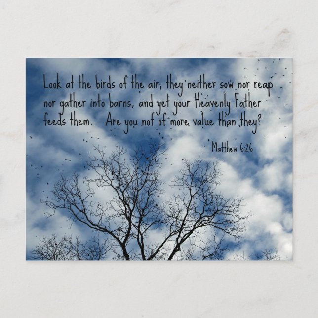 Matthew 6:26 Titta på luft... Vykort (Framsida)