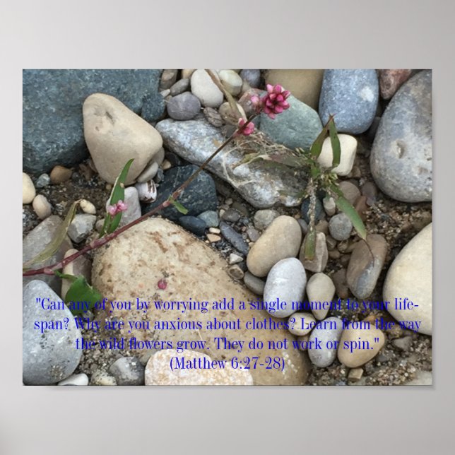 Matthew 6:27-28 Poster (Framsidan)