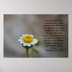 Matthew 6:27-29 Poster