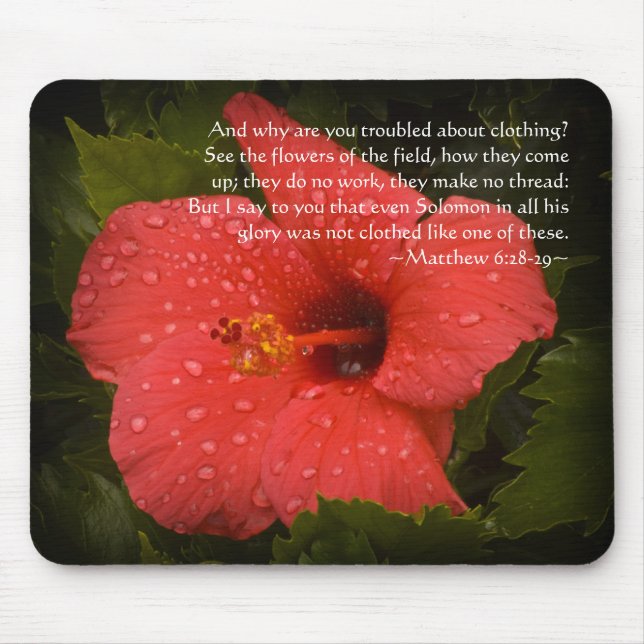 Matthew 6:28-29 Hibiscus Musmatta (Framsidan)