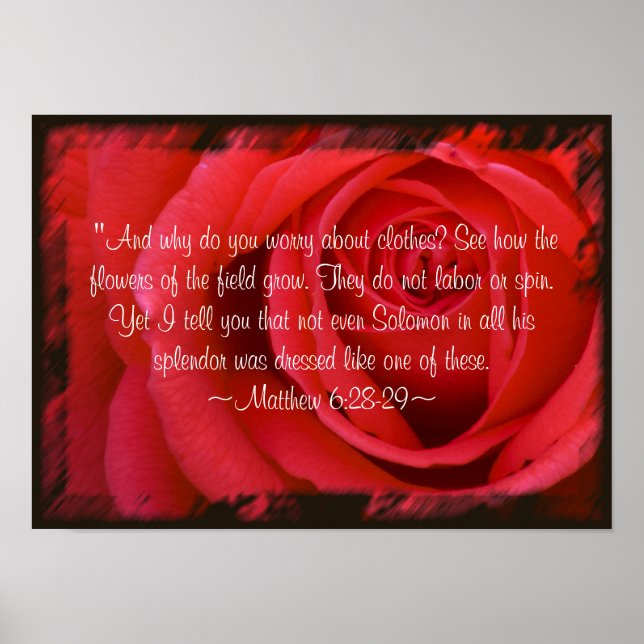 Matthew 6:28-29 Poster (Framsidan)