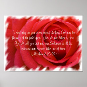 Matthew 6:28-29 Poster 2