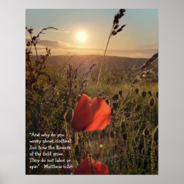 Matthew 6:28 Poppies vid solnedgång Poster