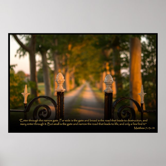 Matthew 7:13-14 Christian Bible Verse Poster (Framsidan)