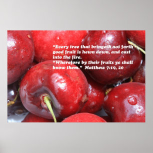 Matthew 7:19, 20 Poster skript
