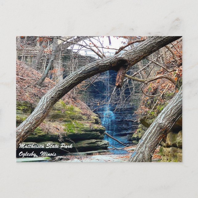Matthiessen Illinois State Park Vykort (Framsida)