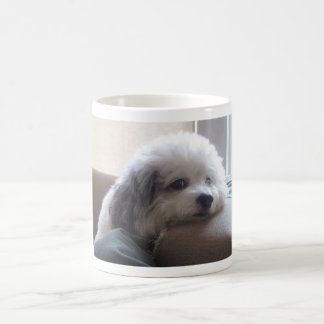Mattie Kaffemugg