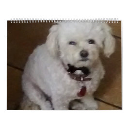 Mattie och Friends Kalender