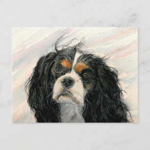 Mattie the Kung Charles Cavalier Spain Vykort