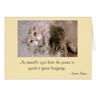 Mattie's Ögon Hälsningskort