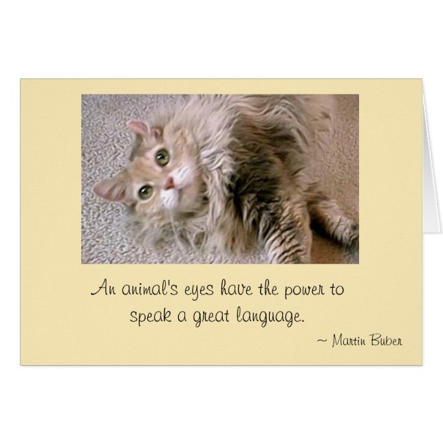 Mattie's Ögon Hälsningskort (Framsidan Horizontal)