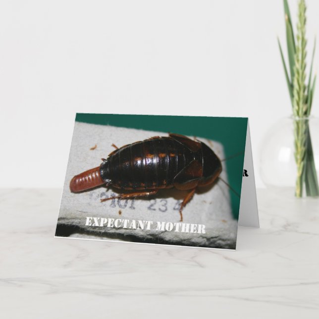 Måttlig mor Dubia med äggsac Kort (Framsida)