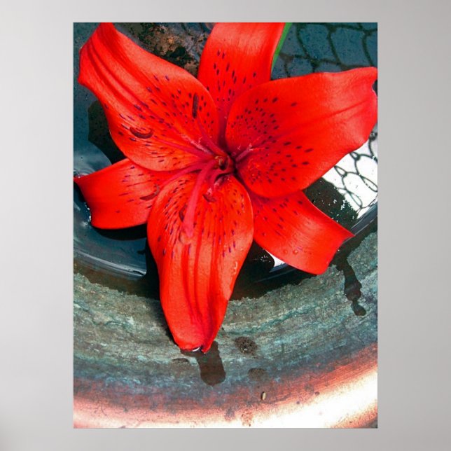 Mättnadsflöde Poster (Framsidan)