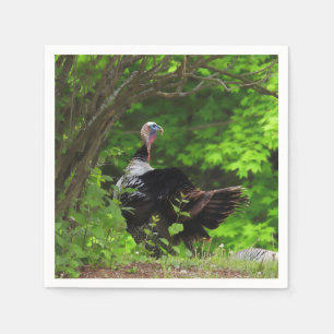Mature Male Vild Turkey - Thanksgiving Pappersservett