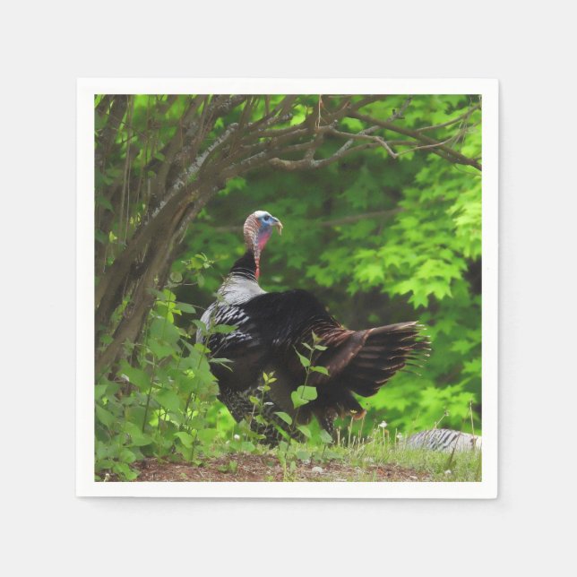 Mature Male Vild Turkey - Thanksgiving Pappersservett (Framsidan)