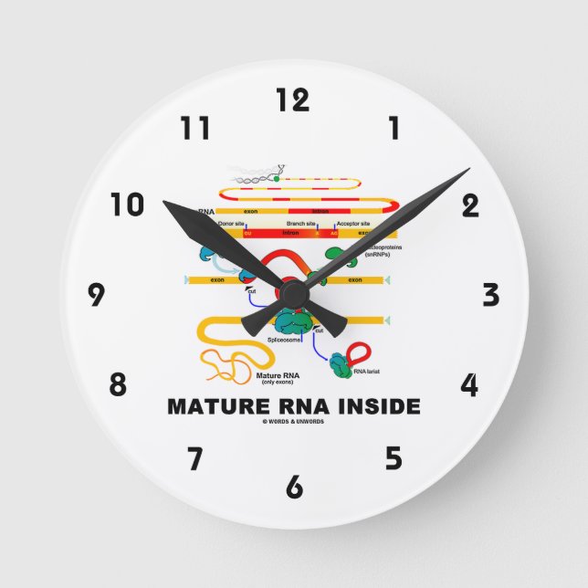 Mature RNA Inside Biology Humor Rund Klocka (Framsida)