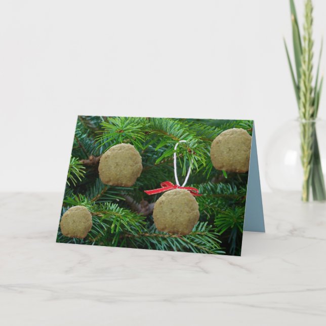 Matzoh Boll-prydnadsföremål på Julgran - Hanukah Helgkort (Framsida)