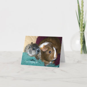 Maude och Wink Note Card Kort