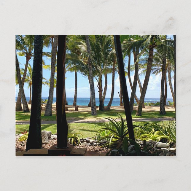 Maui Beach Hawaii Handflatan Träd Vykort (Framsida)