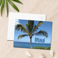 Maui Hawaii Handflatan Träd Scenia