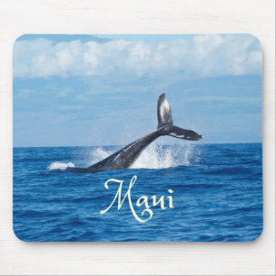 Maui Hawaii Ocean Whale Svan Musmatta