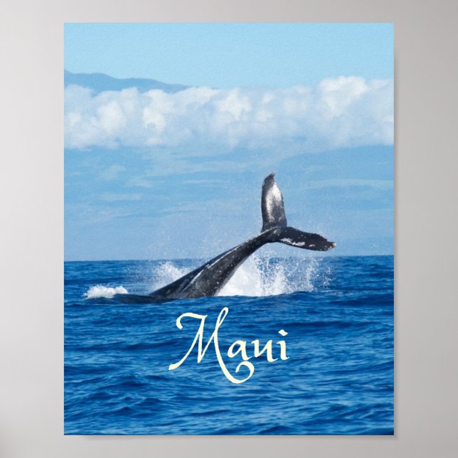 Maui Hawaii Ocean Whale Tail Poster (Framsidan)