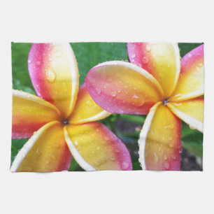 Maui Hawaii Plumeriablommor Kökshandduk