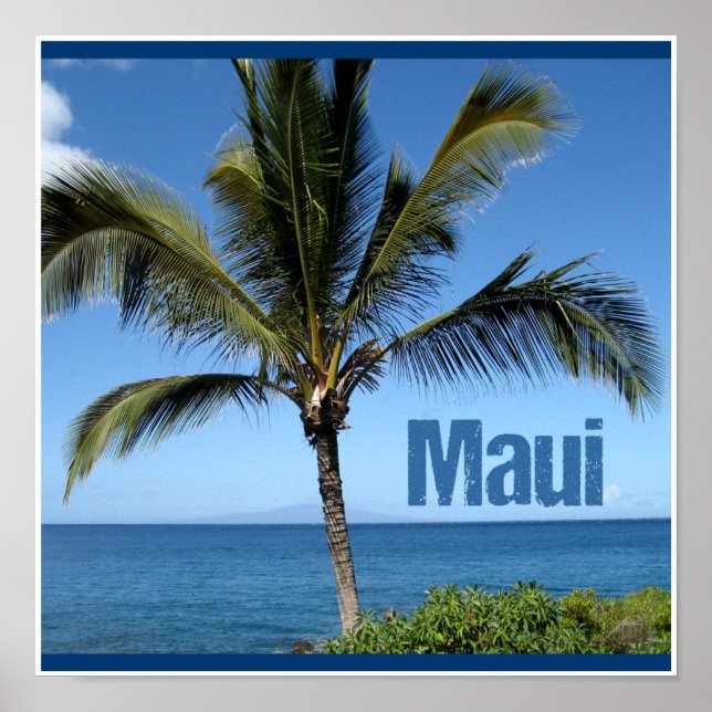 Maui Hawaii Poster (Framsidan)