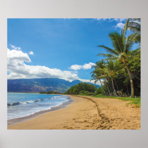 Maui Hawaii Poster