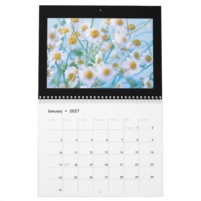 Maui Hawaii Stränder Vattenfall Landskap Kalender (Jan 2027)