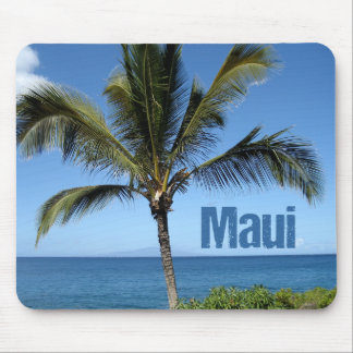 Maui Hawaii Vacker ö Fotografi Strand Musmatta