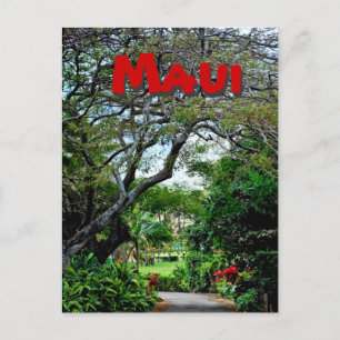 Maui Hawaii Vykort