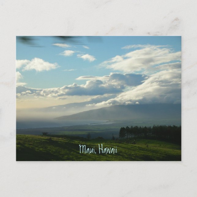 Maui, Hawaii Vykort (Framsida)
