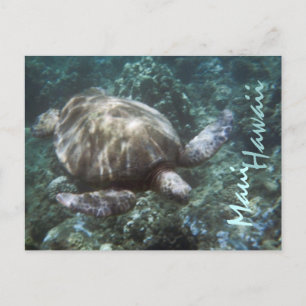 Maui Hawaii-vykort Vykort