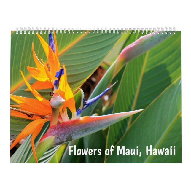 Maui Hawaiis blommor Kalender (Omslag)