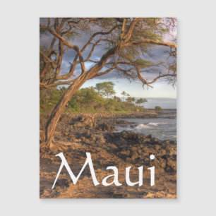 Maui oceanivy