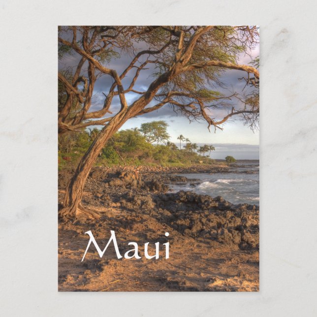 Maui oceanivy vykort (Framsida)