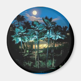 Maui Perfekt Magnet