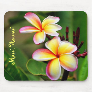 Maui Plumeria blommar Mousepad Musmatta