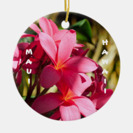Maui, Plumeria Flowers in Rosa and White Julgransprydnad Keramik