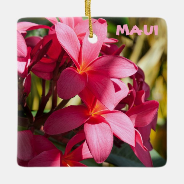 Maui, Plumeria Flowers in Rosa and White Julgransprydnad Keramik (Framsida)