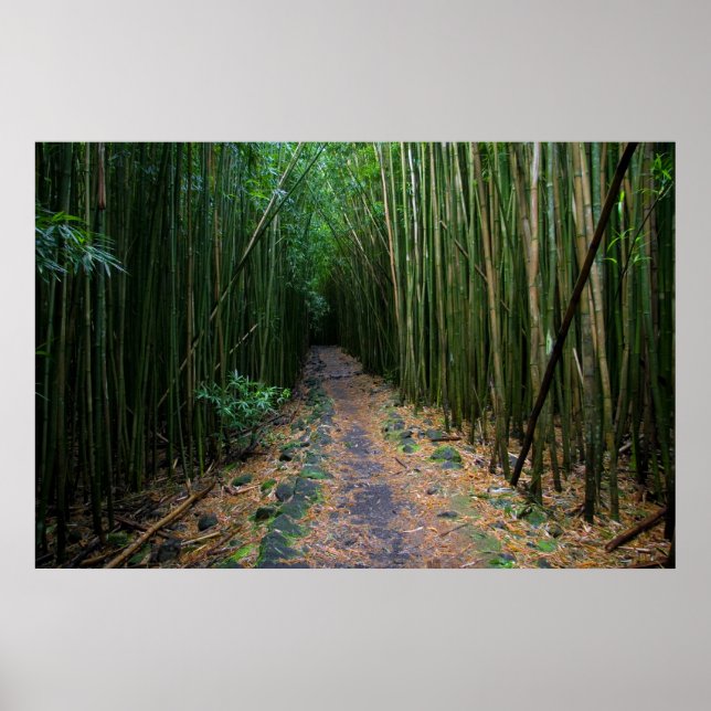 Maui Poster (Framsidan)