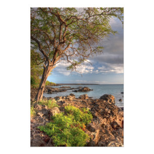 Maui shoreline fototryck