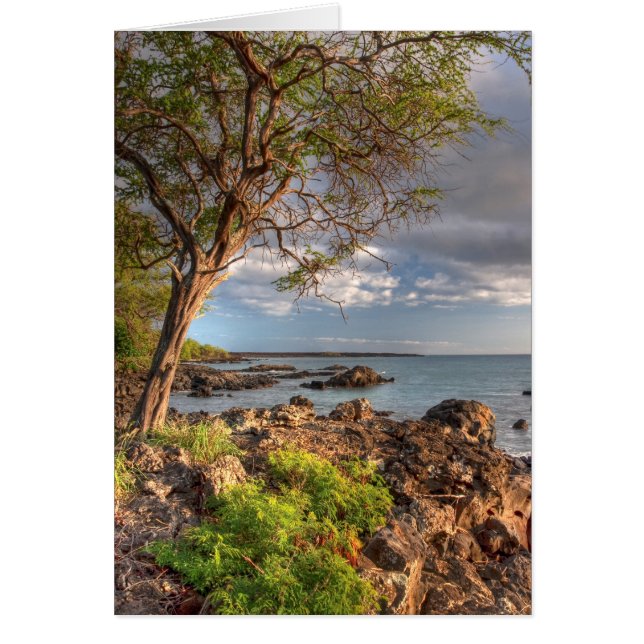 Maui shoreline hälsningskort (Framsidan)