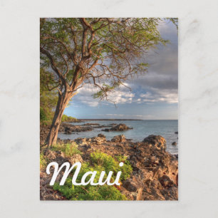 Maui shoreline vykort