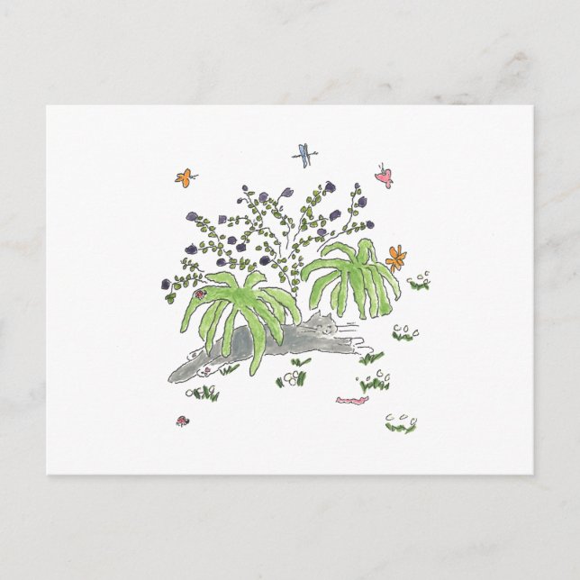 Maui skinn under en buske meddelande vykort (Framsida)