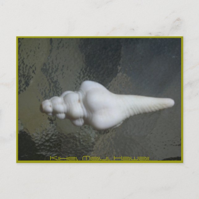 Maui Spindlesnäcka, Vykort (Framsida)