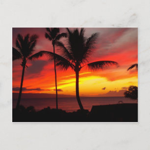 MAUI SUNSET 2 VYKORT