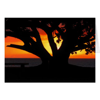 Maui sunset hälsningskort